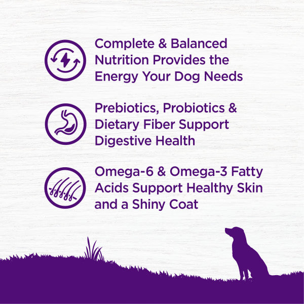 Wellness Complete Health Grained Chicken & Oatmeal Dry Dog Food