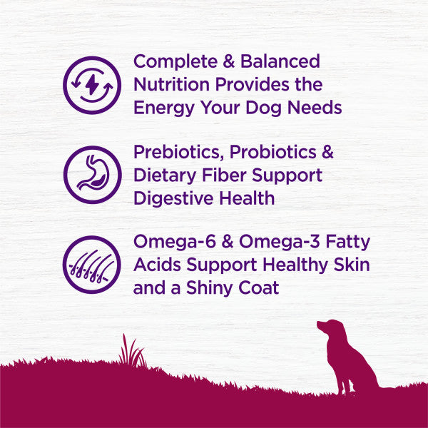 Wellness Complete Health Natural Small Breed Adult Turkey and Oatmeal Recipe Dry Dog Food