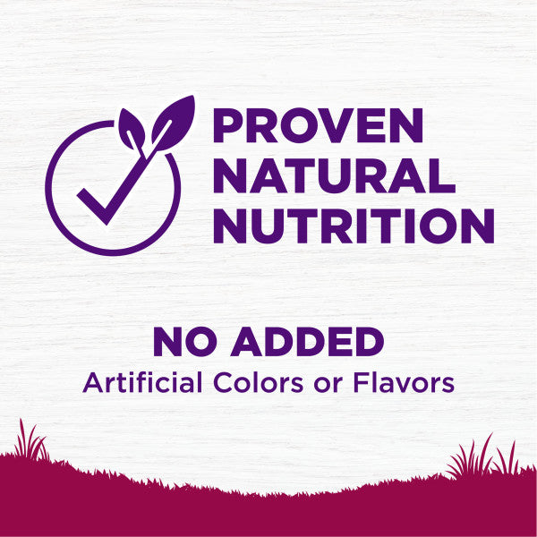 Wellness Complete Health Natural Small Breed Adult Turkey and Oatmeal Recipe Dry Dog Food