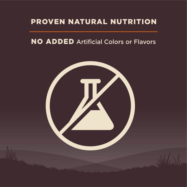 Wellness CORE Grain Free Small Breed Turkey Recipe Dog Food
