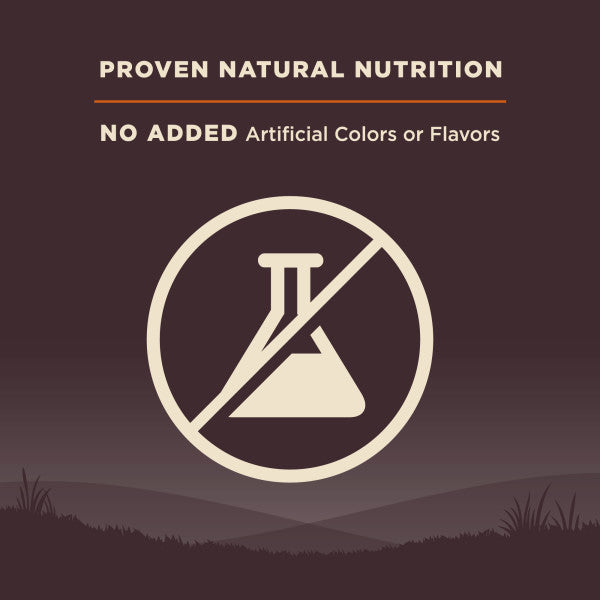 Wellness CORE Natural Grain Free Original Turkey & Chicken Recipe Dry Dog Food
