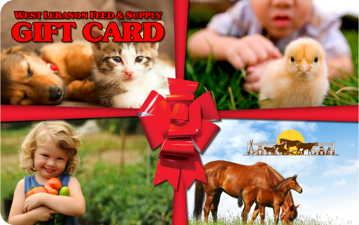 WLFS Digital Gift Card