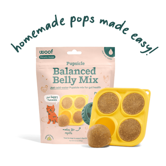 Woof Balanced Belly Pupsicle Mix